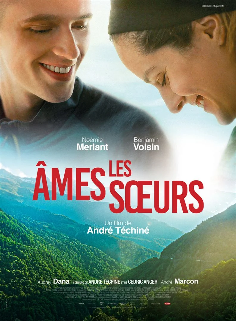Affiche du film Les âmes soeurs